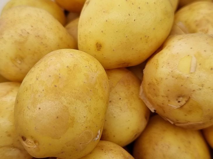 Лучшие осенние удобрения для картофеля: подготовьтесь получать крупную и вкусную картошку