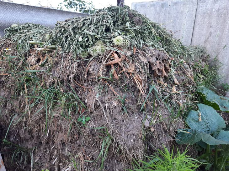 Как неопытные огородники делают из полезного компоста ядовитую отраву: распространенные ошибки