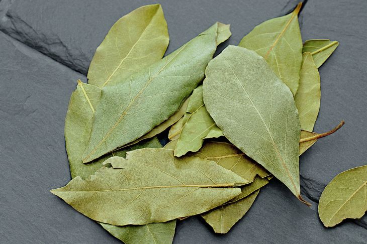 Сушеный лавровый лист: зачем дачники используют на огороде