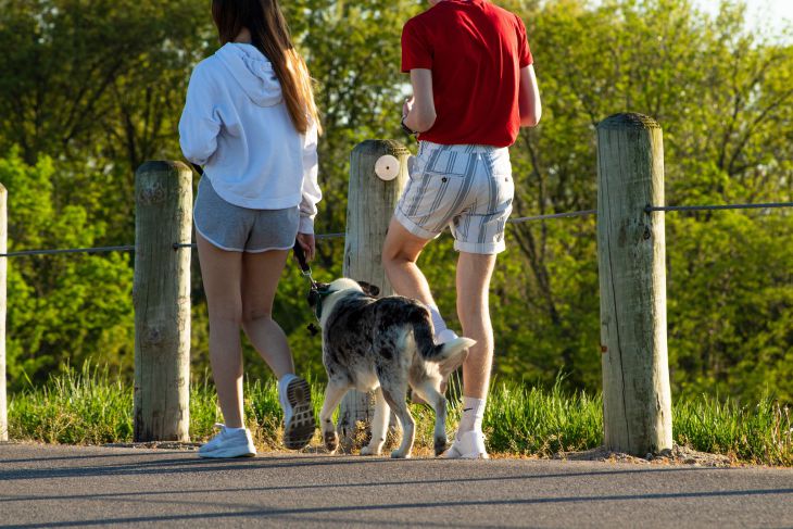 Какие мужчины по знаку зодиака не могут жить без романтических отношений пара