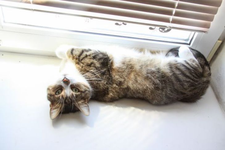 подоконник