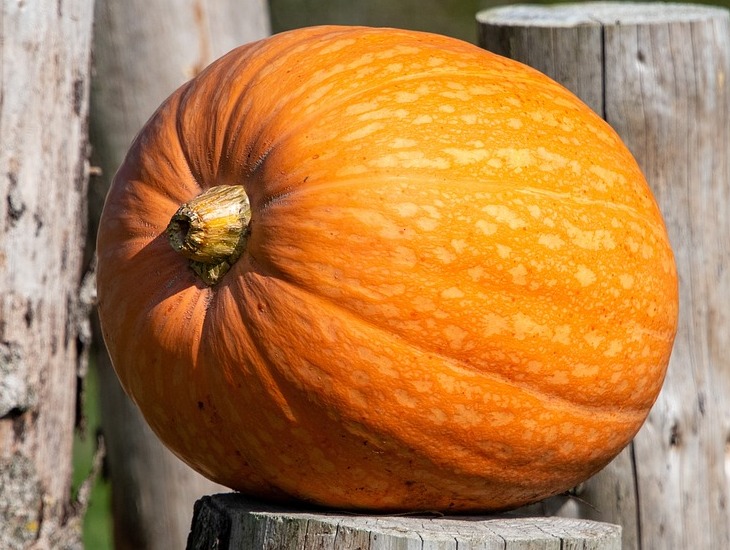 Диетолог рассказала, кому нужно быть осторожным с тыквой тыква