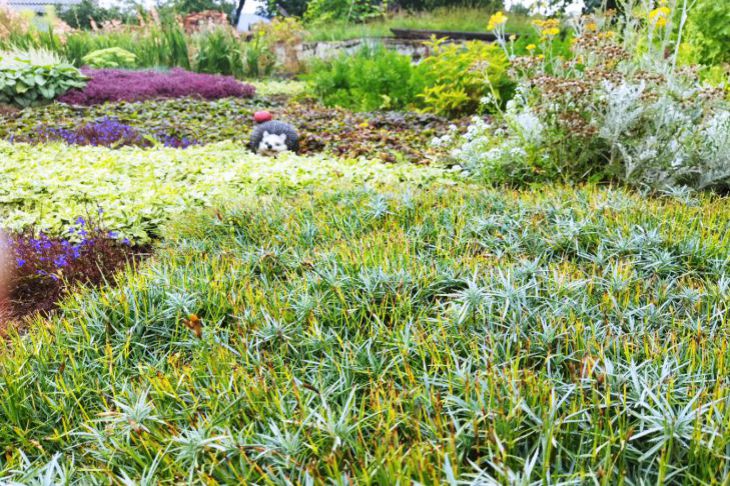 Как замульчировать сад сосновой корой, чтобы это пошло на пользу растениям: тонкости, о которых вы могли не знать Сад