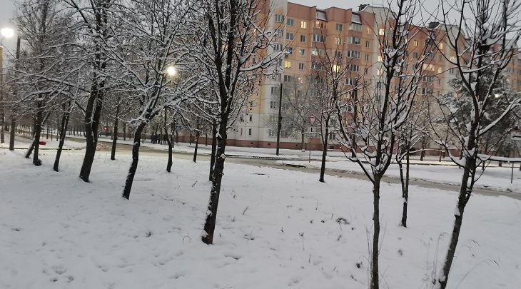 До -14 градусов. Такой будет погода в Беларуси 1 декабря снег