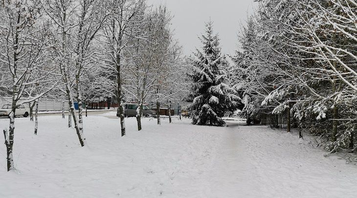 Каким будет последний день осени в Беларуси: синоптики дали прогноз снег