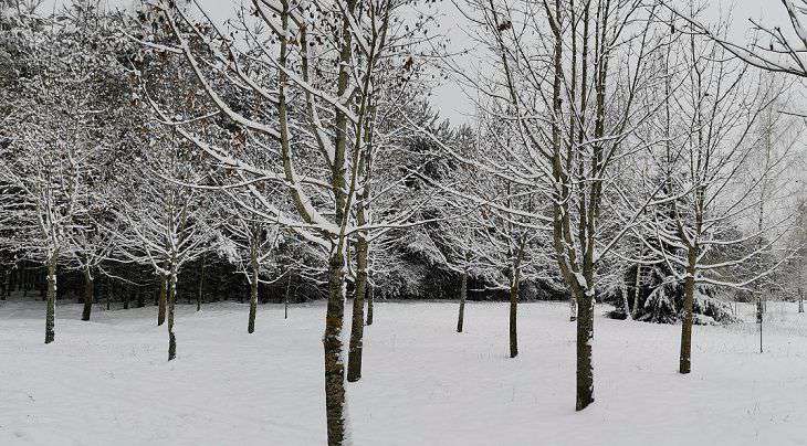 Народные приметы на 29 ноября: по чем определяют, что зима будет лютая зима