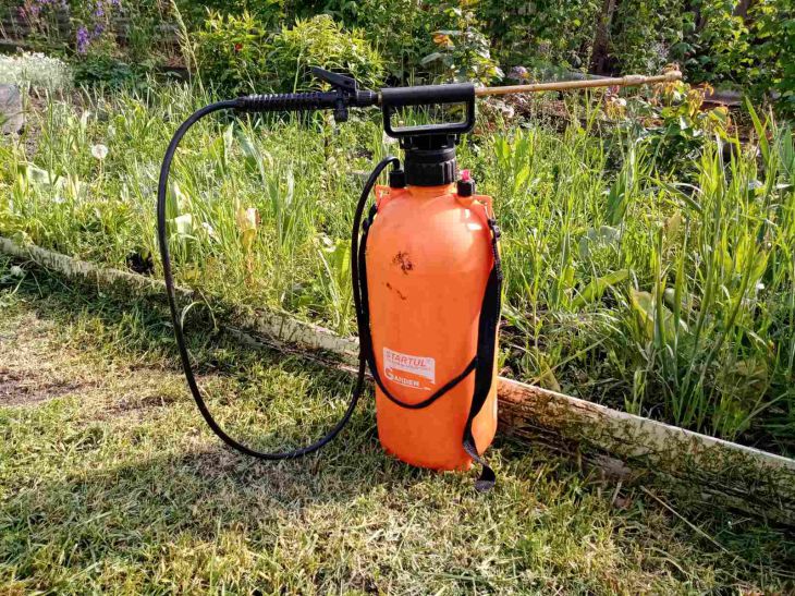 Как самостоятельно приготовить бордоскую жидкость: средство получится в разы эффективнее покупного Пульверизатор