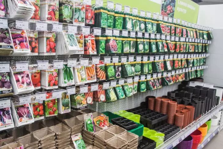 Как ускорить прорастание семян: причин плохой всхожести может быть несколько семена