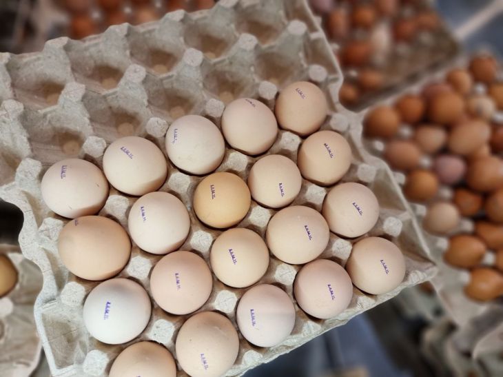 Сколько можно есть яиц в день и в неделю?