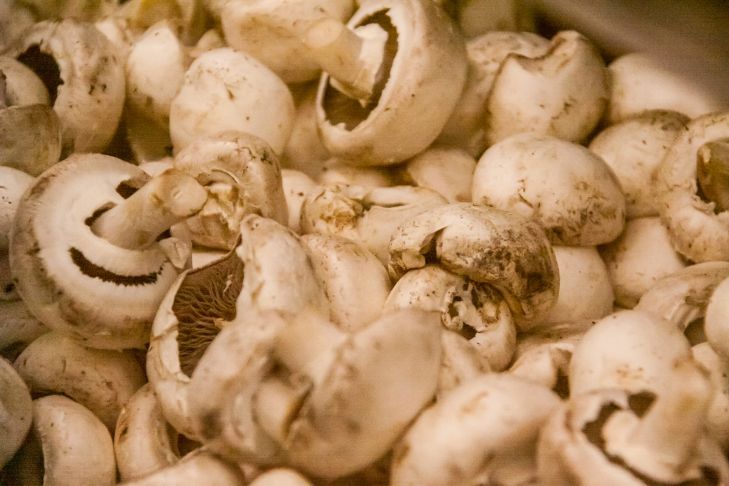 Как выбрать свежие шампиньоны: 5 признаков того что грибы залежались