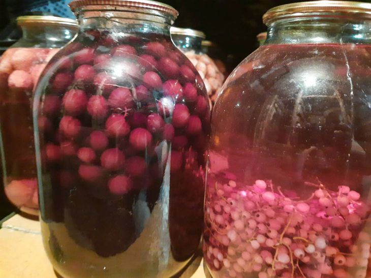 Почему нельзя хранить банки с домашними закрутками в обычном платяном шкафу Банки с компотами