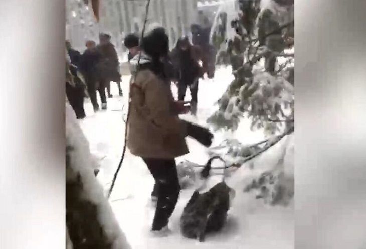 ГПК: польские силовики бросили на границе с Беларусью группу беженцев беженцы
