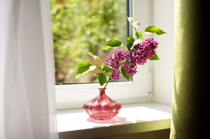 Сирень на окне