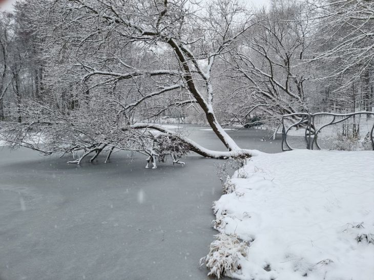 Какой сегодня праздник: 17 декабря 2022 года зима