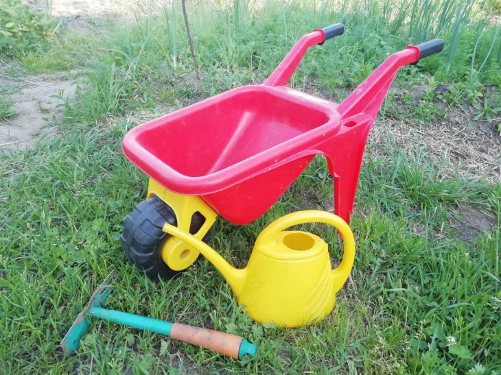 Каких растений боятся кроты и землеройки: самые гуманные способы борьбы Инструменты