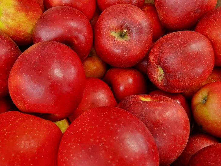 Диетолог перечислил важные продукты, которые надо есть еженедельно Яблоки