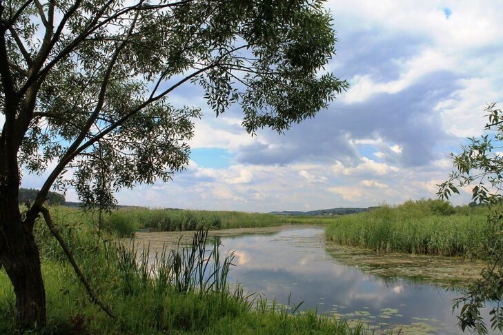 Коваль: весь периметр Ровненской области на границе с Беларусью заминирован болото
