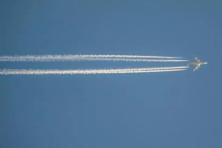 «Разрушатся границы». Тамара Глоба назвала период начала открытого мира самолет