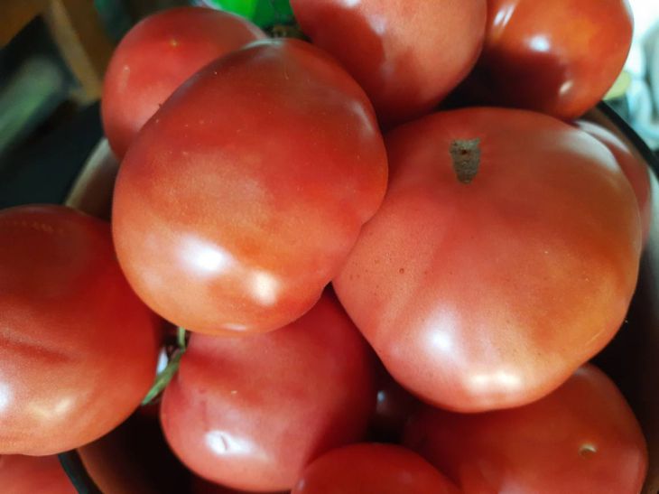 Чем и как опрыскать томаты для завязи?