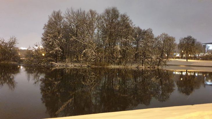 Деревья у воды