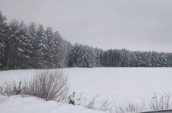 Оранжевый уровень опасности объявили синоптики на 24 февраля природа