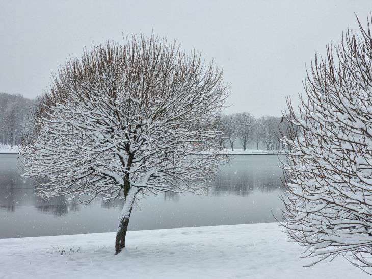 Народные приметы на 2 февраля: что предвещает дождливое лето зима
