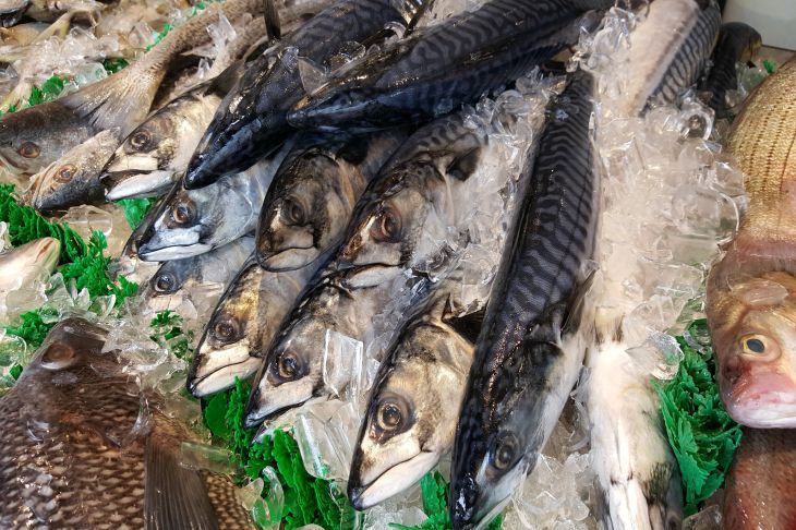 Как посолить скумбрию в домашних условиях: пальчики оближешь Скумбрия