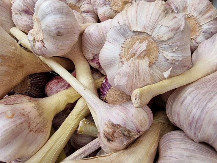 Названы 6 продуктов, которые снижают уровень сахара в крови Чеснок