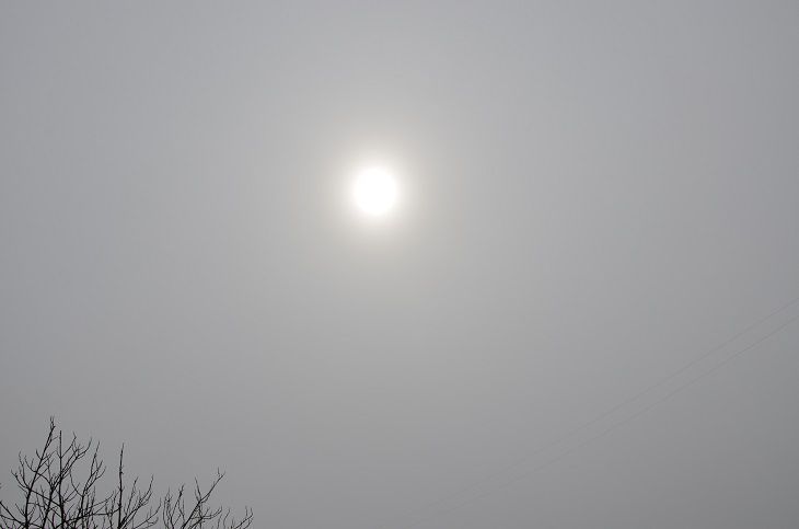 «Скоро увидим»: Тамара Глоба сделала заявление о третьей мировой солнце