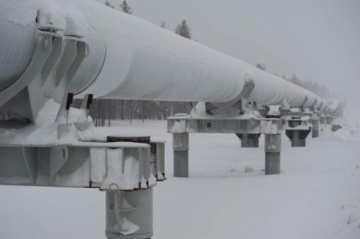 У нефтепровода «Дружба» в Брянской области РФ обнаружили взрывные устройства нефтепровод