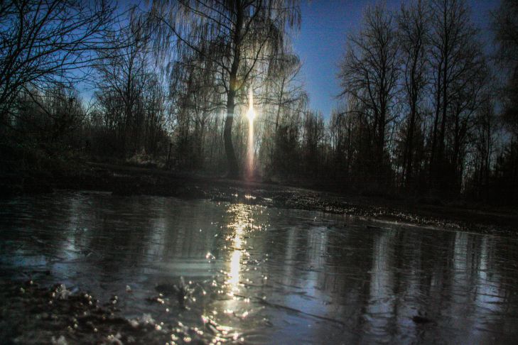 Саввин день: что следует делать, чтобы привлечь удачу и богатство Природа