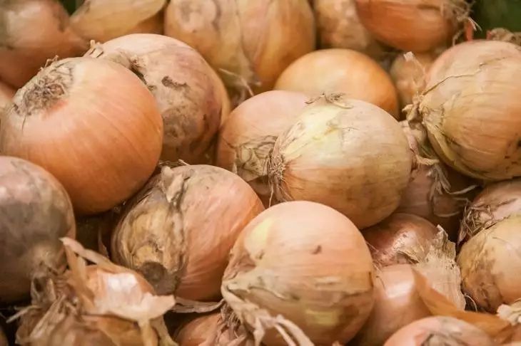 Как спасти лук от мошек: секретный продукт лук
