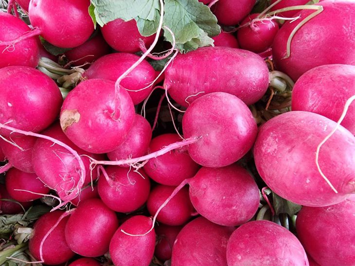 Почему редис вырастает горьким: 3 ошибки, от которых никто не защищен Редис