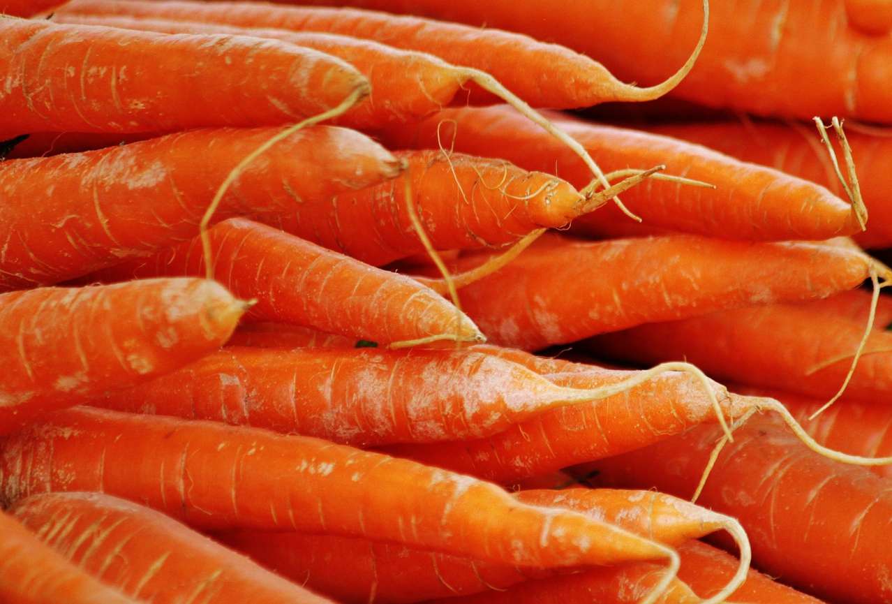 Food Storage Secrets: How to Keep Carrots Fresh Longer carrots