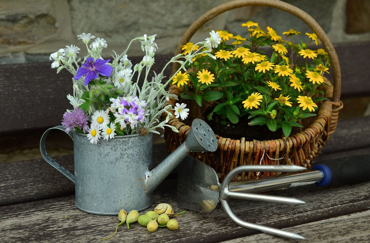 Watering Plants