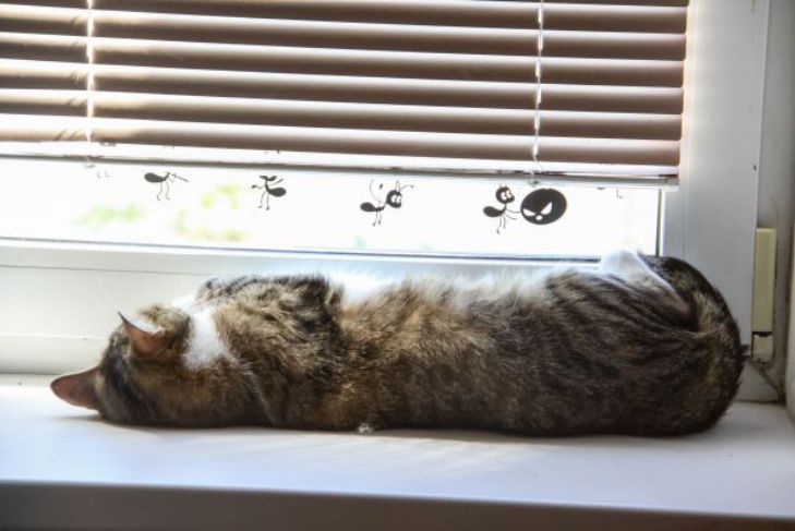 подоконник