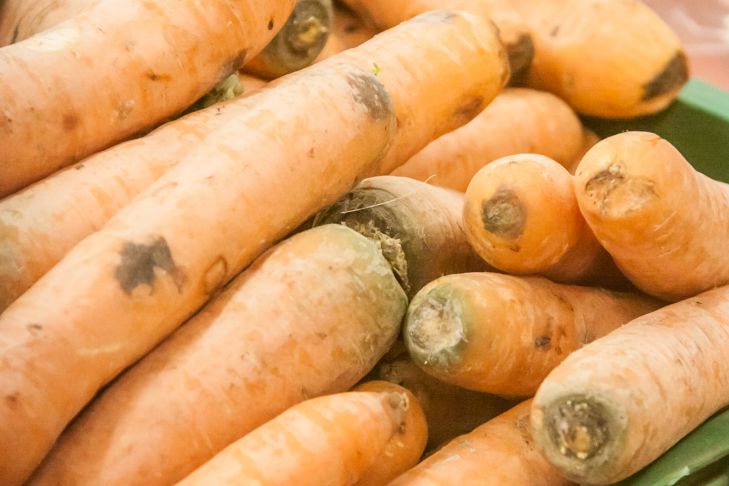 Что сделать летом, чтобы получить богатый урожай моркови: 3 важных мероприятия