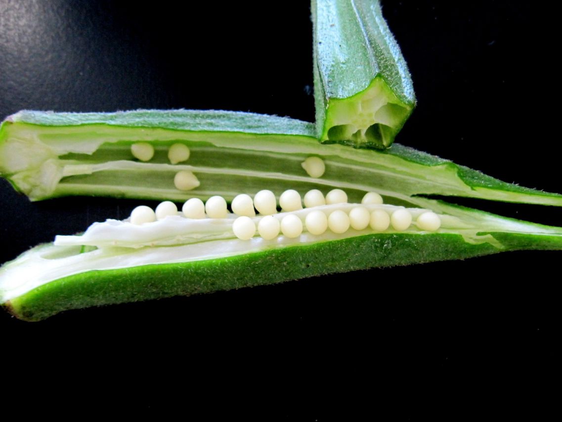 okra