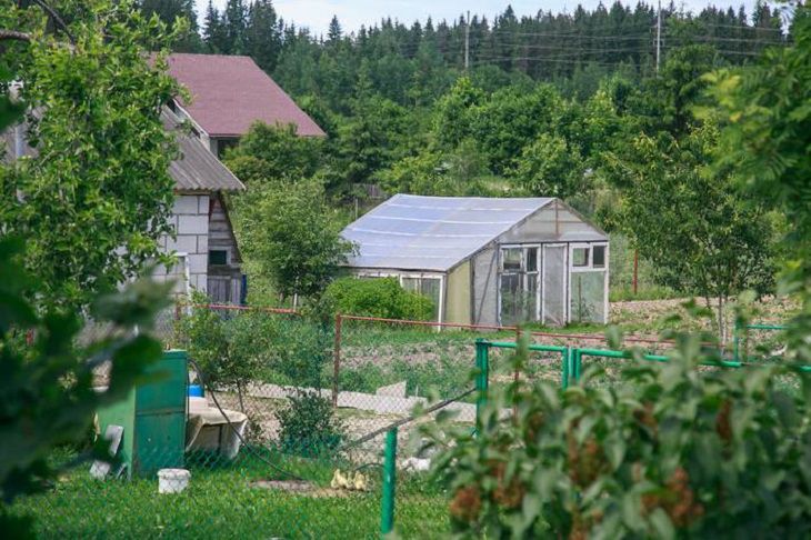 Большие изменения грядут для садоводческих товариществ. Лукашенко подписал указ