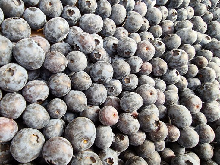 Голубика перестанет капризничать: от хорошего урожая дачников отделяют 3 правила Голубика