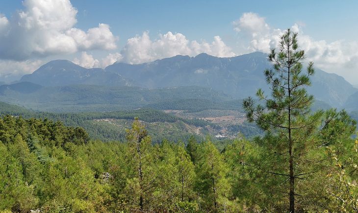 Вычислено единственное место в России, где можно выжить после катастрофы – время переезжать природа