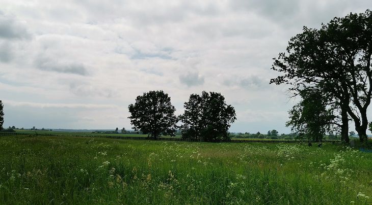 Народные приметы на 16 июня: что сулит затяжные дожди природа