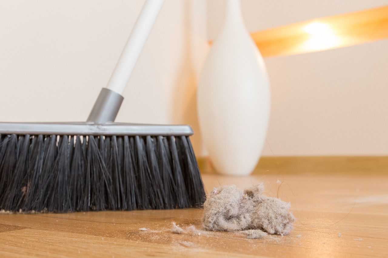 How regular dusting helps you stay healthy It's not only about how