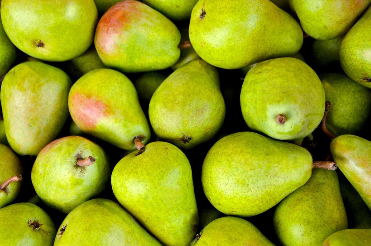 Useful Products: All Benefits of Pear pear