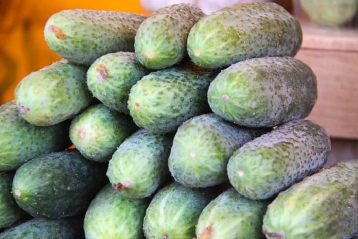 Почему огурцы пустые внутри: что делать, чтобы плоды были «полными» Огурцы