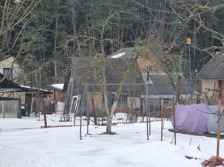 Серия дачных краж раскрыта в Борисовском районе дача