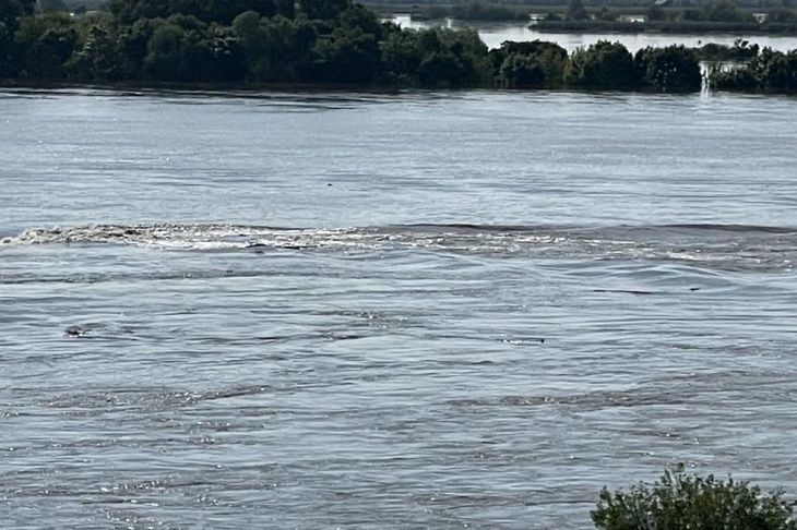 Экологическая катастрофа в нижнем течении Днепра – Сальдо сделал важное заявление река