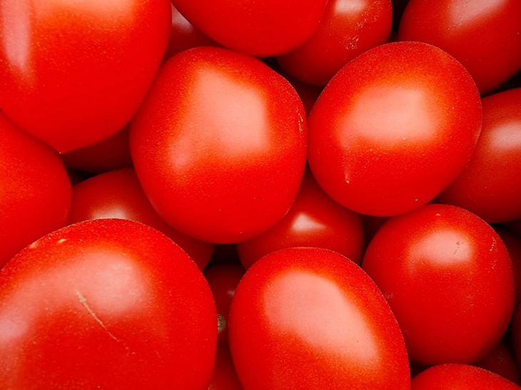 Томаты, помидоры