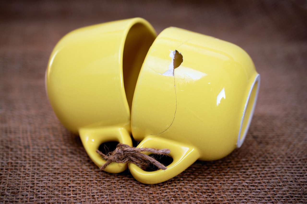 Fun Fact: You Can Learn Empathy cups