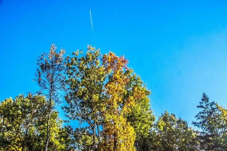 День Панкратия и Кирилла: что нельзя делать 22 июля Природа